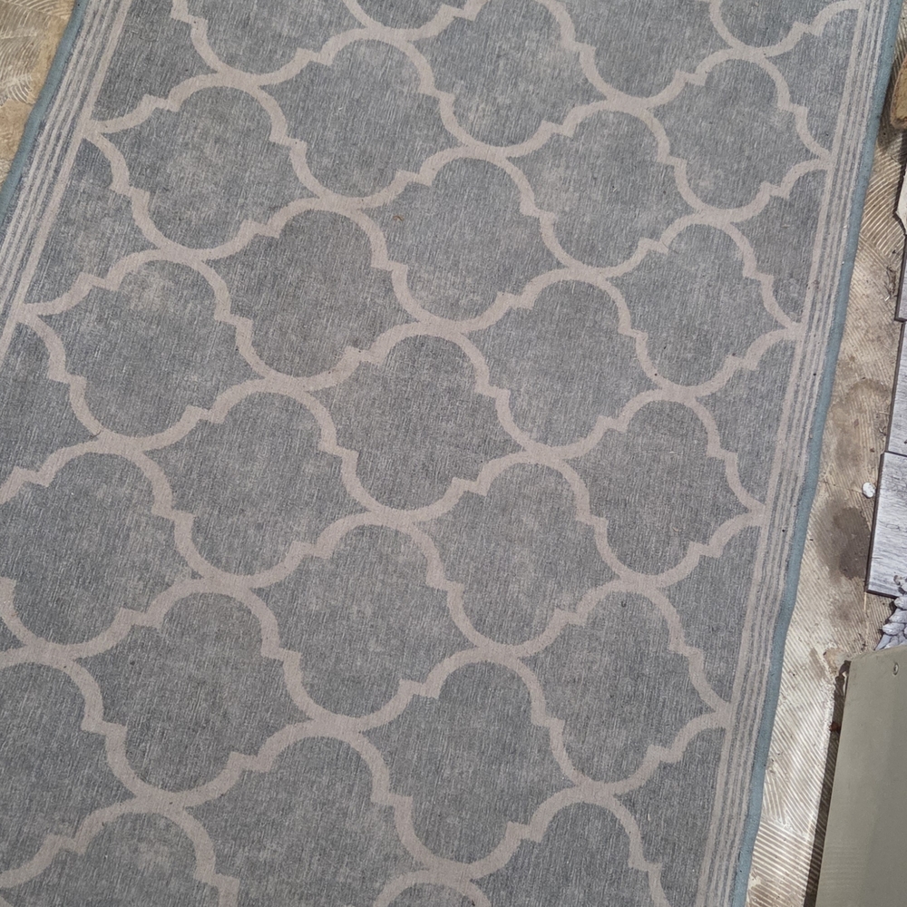 Ruggable brand 3 X 4.5 foot, Trellis Design.